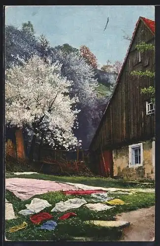 Künstler-AK Photochromie Nr. 4277: Zum Trocknen hingelegte Wäsche