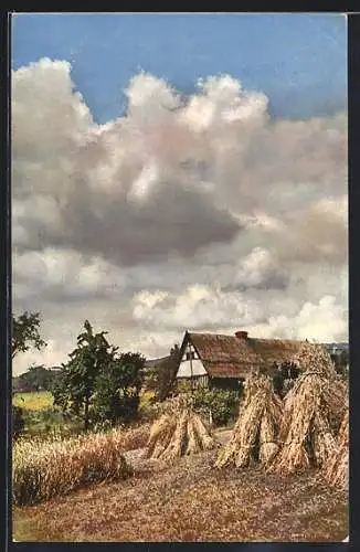 Künstler-AK Photochromie Nr. 4153: Bauernhaus mit Getreidefeld