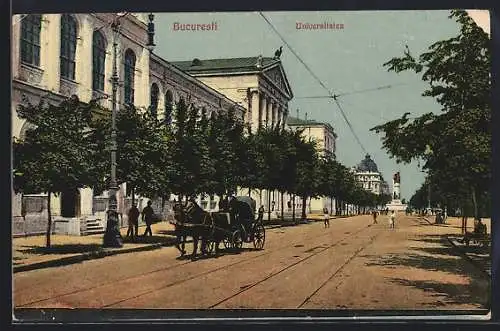 AK Bucuresti, Universitatea