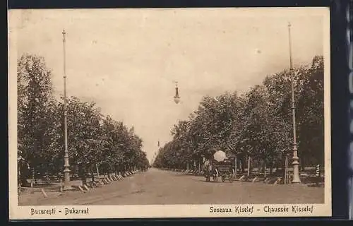 AK Bucuresti, Soseaua Kiselef