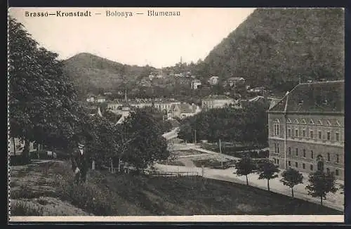 AK Brassó-Bolonya, Panorama