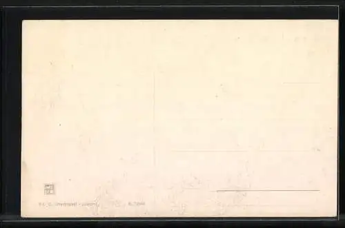 AK Verona, Interno dell`Arena