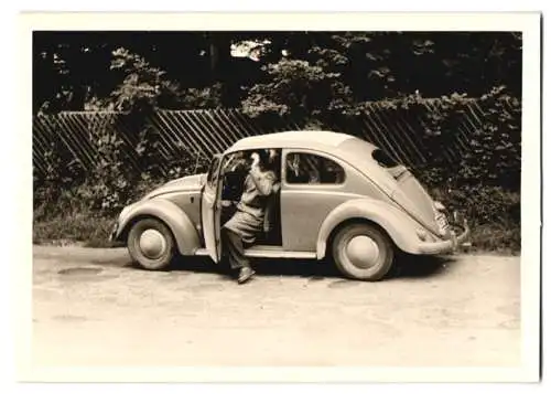 Fotografie Auto VW Käfer Ovali, Volkswagen PKW