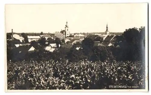 Fotografie unbekannter Fotograf, Ansicht Trebechovice pod Orebem, Panorama vom nahen Felde gesehen