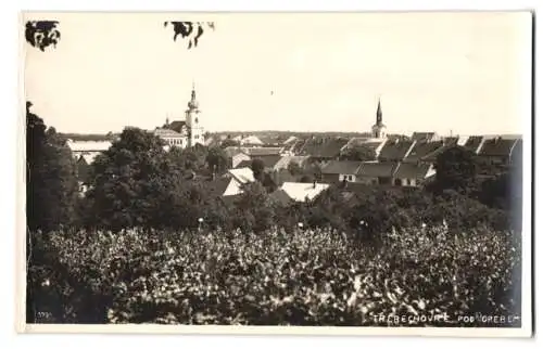 Fotografie unbekannter Fotograf, Ansicht Trebechovice pod Orebem, Panorama mit Kirchtürmen