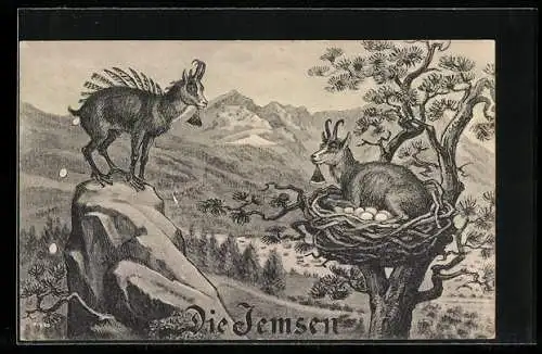 AK Kuriosa, Die Jemsen, Gämse in ihrem Nest brütend