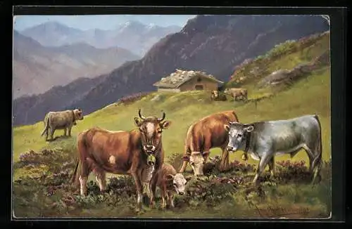 Künstler-AK August Müller - München: Kühe mit Kälbern weiden auf der Gebirgswiese