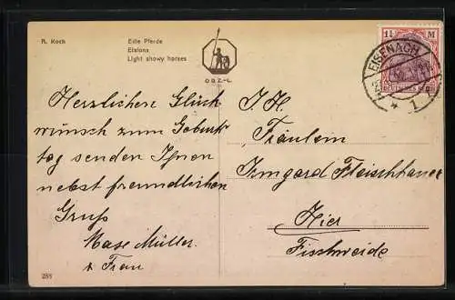 AK Edle Pferde mit Zaumzeug