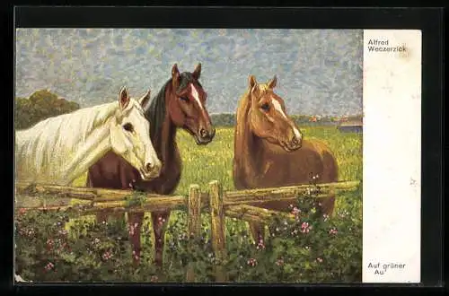 Künstler-AK Drei Pferde auf grüner Au