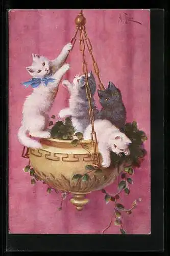 Künstler-AK Katzen spielen im Blumentopf