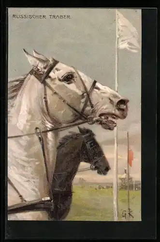 Künstler-AK Russischer Traber auf einer Koppel