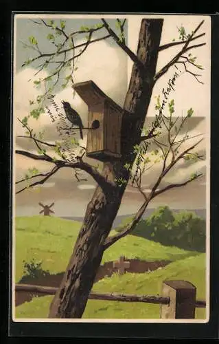 Künstler-AK Alfred Mailick: Fröhliche Ostern!, Singender Star am Vogelkasten