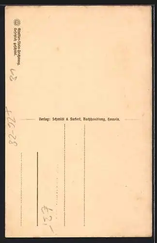 Steindruck-AK Hameln, Der Rattenfänger von Hameln mit den Ratten d. Ortes