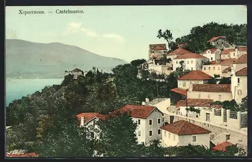 AK Castelnuovo, Panorama