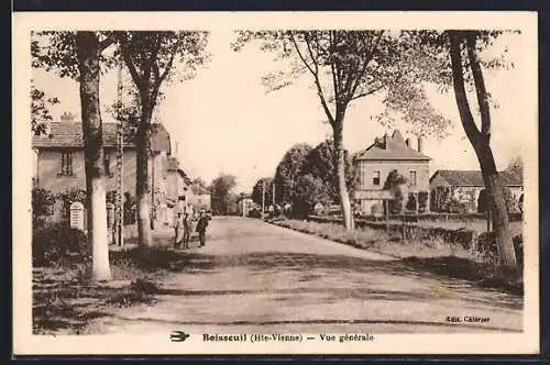 AK Boisseuil, Vue générale