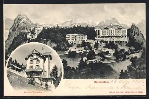 AK Bürgenstock, Pension Waldheim, Panorama