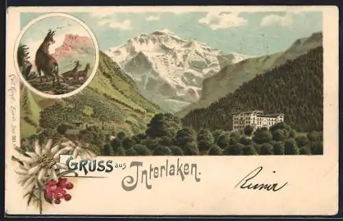 Lithographie Interlaken, Blick zum Hotel, Gämse auf einem Berg