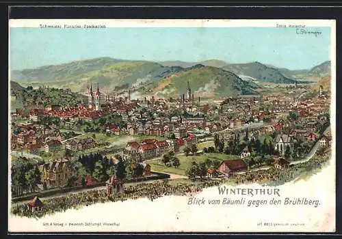 Künstler-AK C. Steinmann Nr. 2215: Winterthur, Blick vom Bäumli gegen den Brühlberg, um 1900