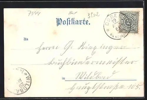 Lithographie Dobel / Schwarzwald, Hotel & Pension Sonne v. J. Kramer