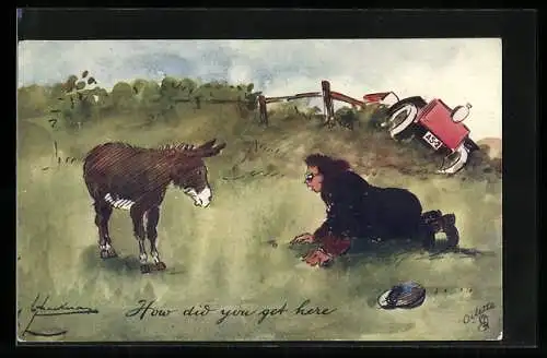 AK Junger Mann baut einen Auto - Unfall und findet ein Esel auf dem Feld