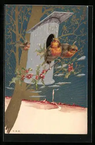 Lithographie Rotkehlchen am Vogelhaus bei Sonnenuntergang, Jugendstil