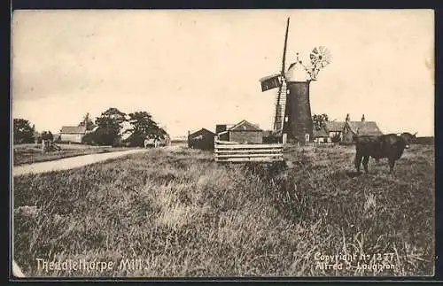 AK Theddlethorpe, Mill with bull