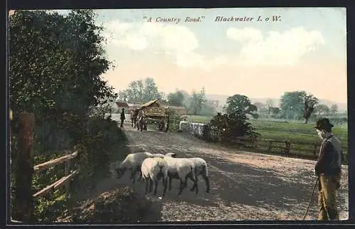 AK Blackwater, A Country Road with a Shepherd