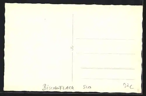 AK Bischoflack, Ortsansicht aus der Vogelschau