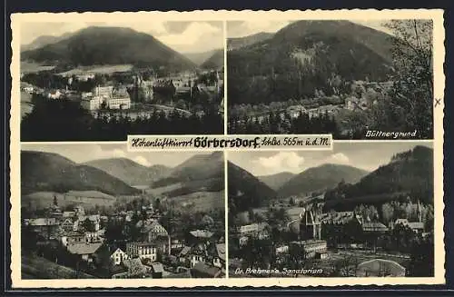 AK Görbersdorf, Ortsansicht, Büttnergrund, Dr. Brehmer's Sanatorium