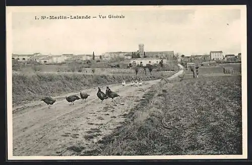 AK St-Martin-Lalande, Vue générale avec chemin et troupeau de dindons