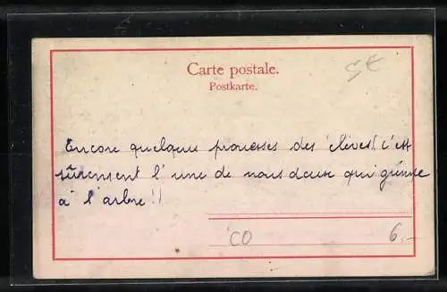 AK Congo Francais, La fabrikation du vin de palme