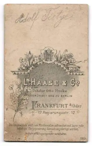 Fotografie L. Haase & Co., Frankfurt a. Oder, Adolf Tietze als Jugendlicher im Anzug