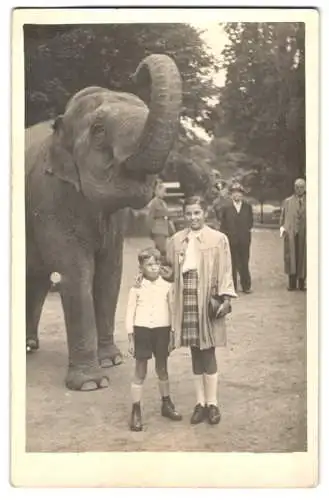 Fotografie Indischer Elefant & Kinder in einem Zoologischen Garten