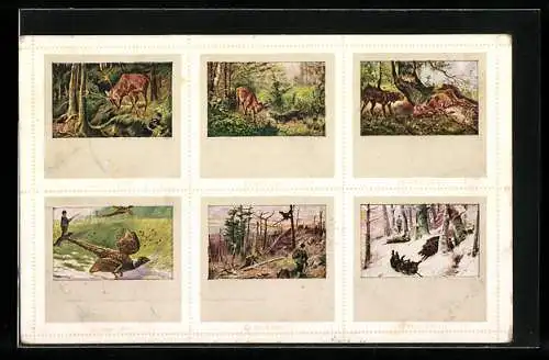 AK Briefmarken der Serie 206 /1-6, verschiedene Waldtiere