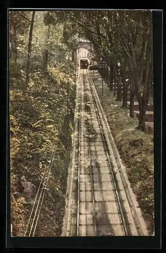 AK Hongkong, Peak Tramway, Bergbahn im Wald