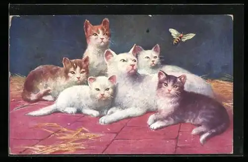 AK Katzen beobachten eine Biene