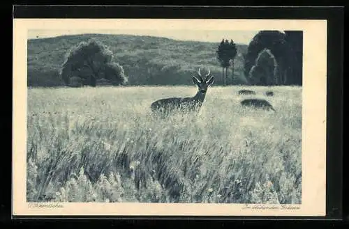 Künstler-AK Otto Fikentscher: In blühenden Gräsern, Idyll mit Reh