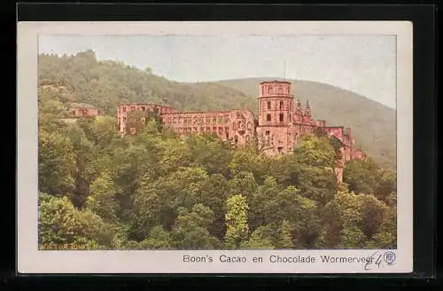 AK Heidelberger Schloss