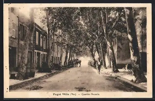 AK Puget-Ville, Quartier Navarin avec ses maisons et arbres ombrageants