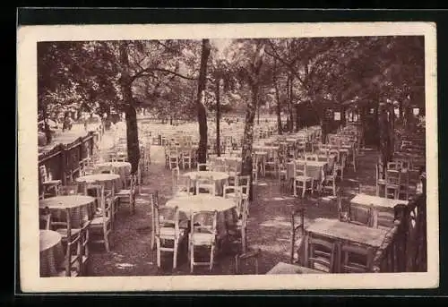 AK Wien, Wiener Prater, Restaurant Schweizerhaus mit Gartenlokal