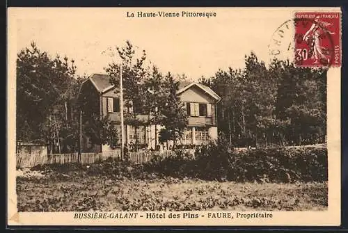 AK Bussière-Galant, Hotel des Pins, Fure, Propriétaire