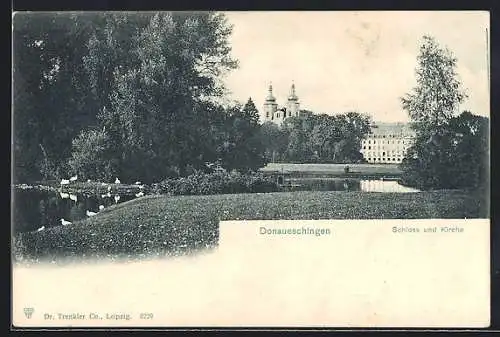 AK Donaueschingen, Schloss und Kirche