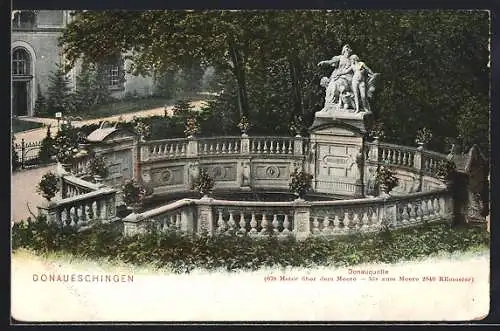 AK Donaueschingen, Partie an der Donauquelle