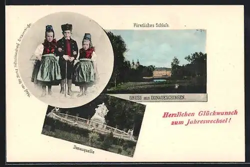 AK Donaueschingen, Fürstliches Schloss, Donauquelle, Kinder in Tracht