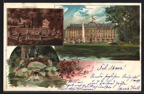 Lithographie Donaueschingen, Ansicht vom Schloss, Donauquelle