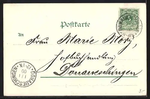 AK Donaueschingen, Donauquelle, von oben gesehen