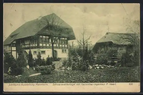 AK Mannheim, Jubiläums-Ausstellung 1907, Schwarzwaldanlage von Gartenbau-Ingenieur F. Keerl