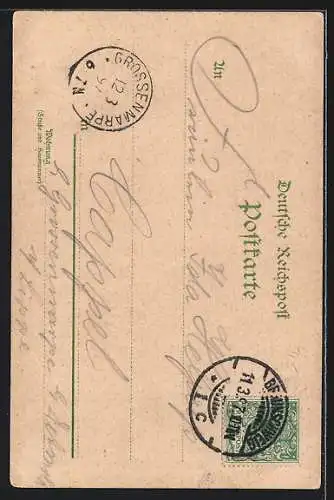 Lithographie Braunschweig, Ortspartie, Wappen