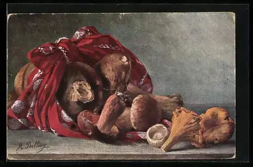 Künstler-AK M.Billing: Pilze in einem Tuch