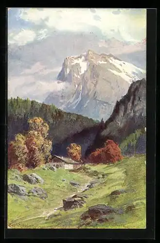 Künstler-AK August Splitgerber: Alpen, Berglandschaft mit Haus und Bäumen